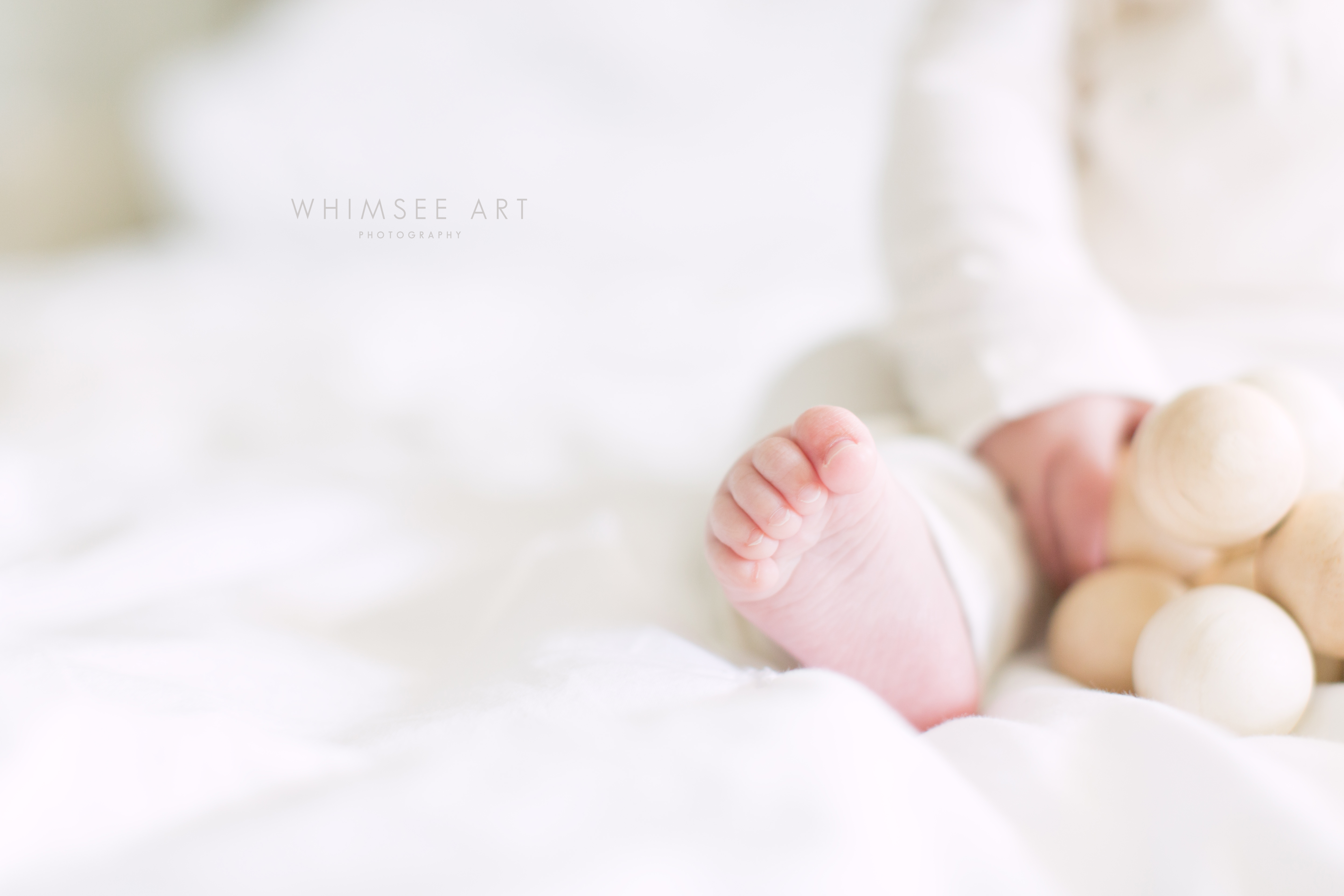 Roanoke Baby Photographers | Whimsee Art Photography | Virginia Newborn Photographer