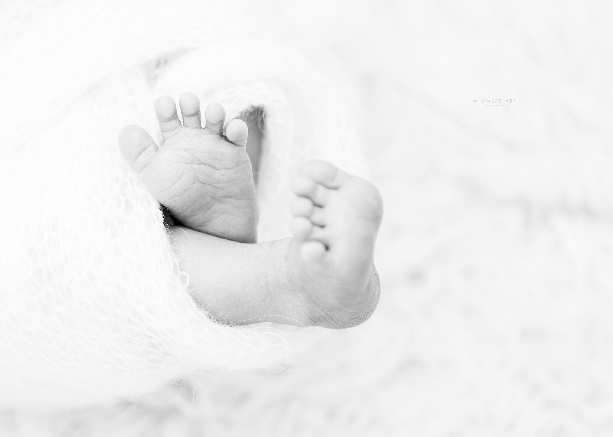 Roanoke Newborn Photographers | Whimsee Art Photography | Virginia Newborn Photographer