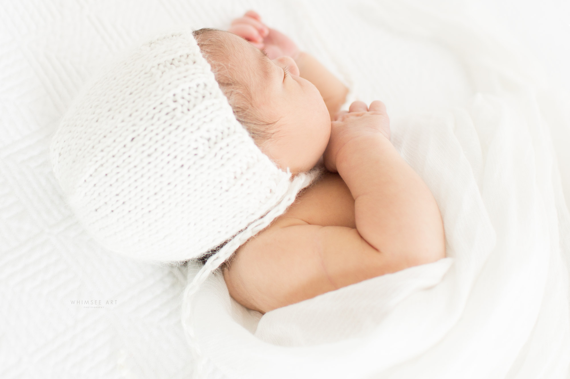 Welcoming Baby Fuller | Roanoke Newborn Photographer | Whimsee Art Photography