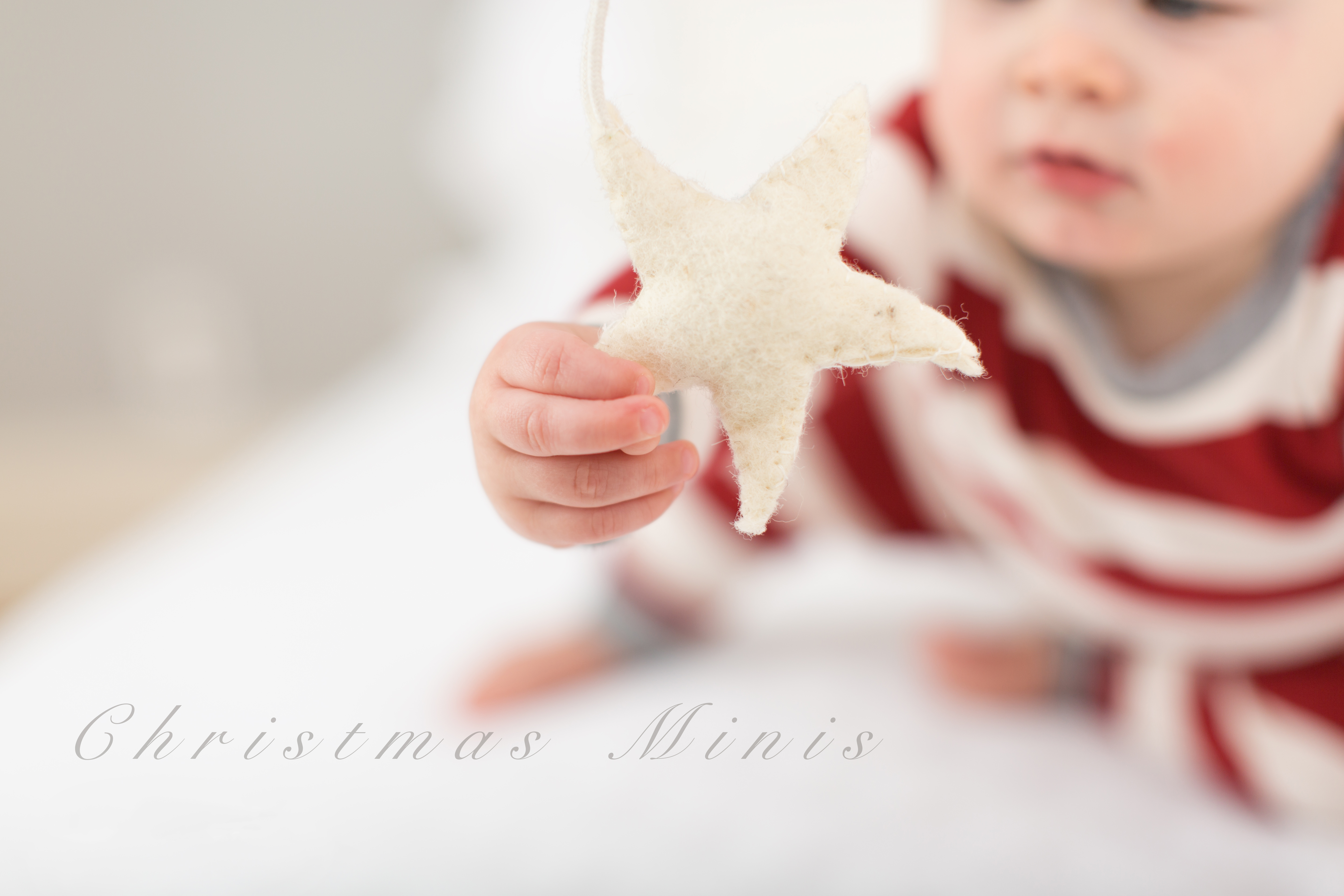 Christmas Minis | Roanoke Christmas Photography Session | Whimsee Art Photography
