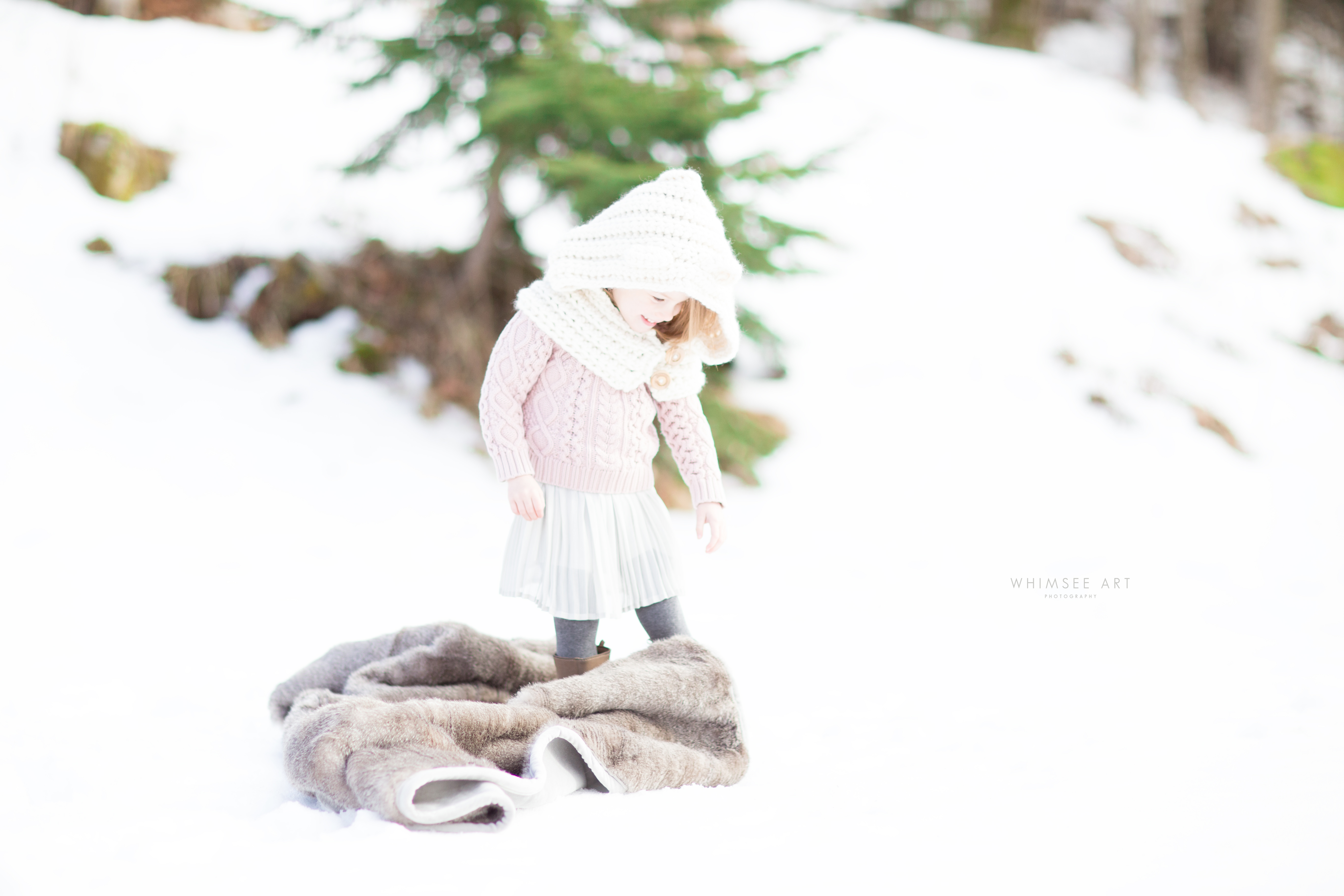 Snow Sessions | Roanoke Photographers | Whimsee Art Photography