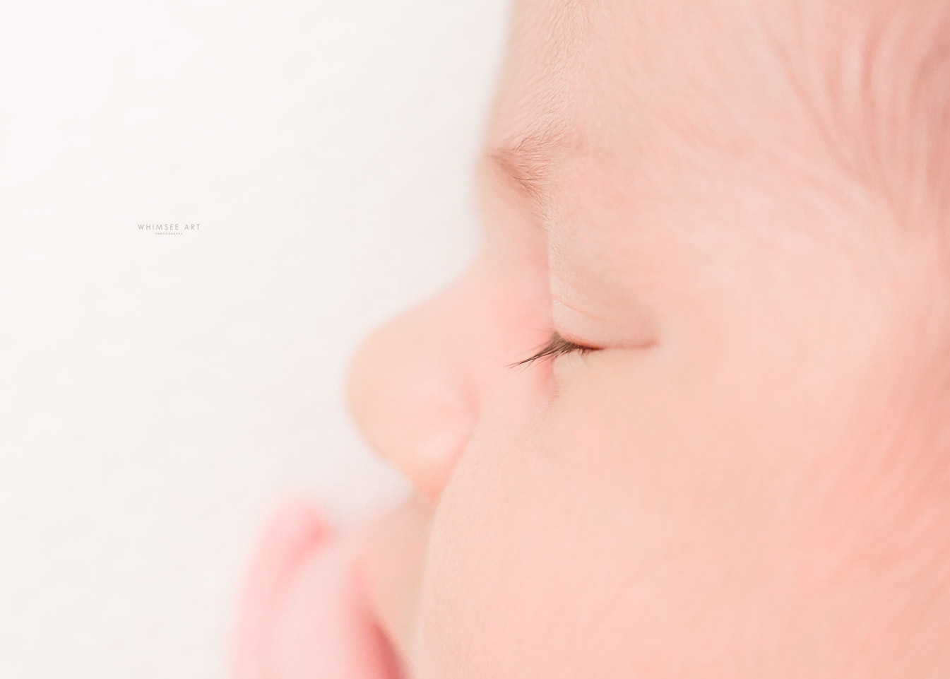 Sweet Baby Elliott | Newborn Photographer | Whimsee Art Photography