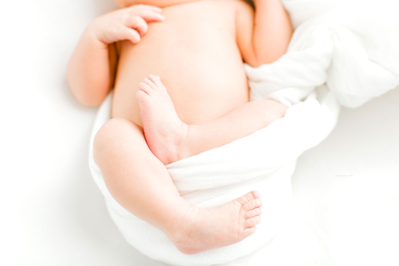 Virginia's Best Newborn Photographer | Newborn and Family  Studio Session| Whimsee Art Photography