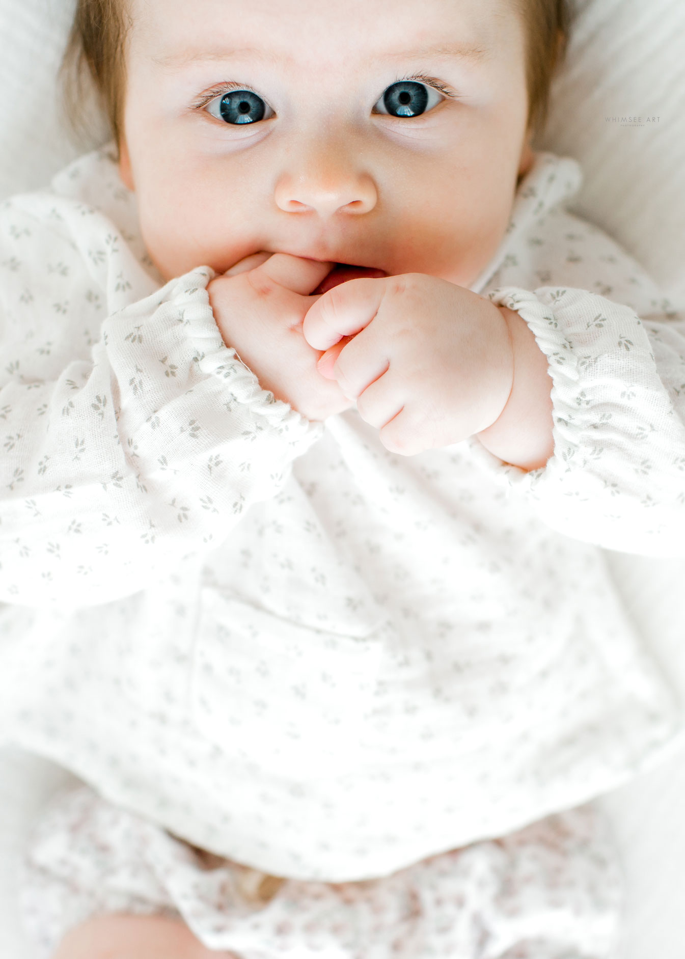 3 Month Studio Session | Roanoke Baby Photographer | Whimsee Art Photography
