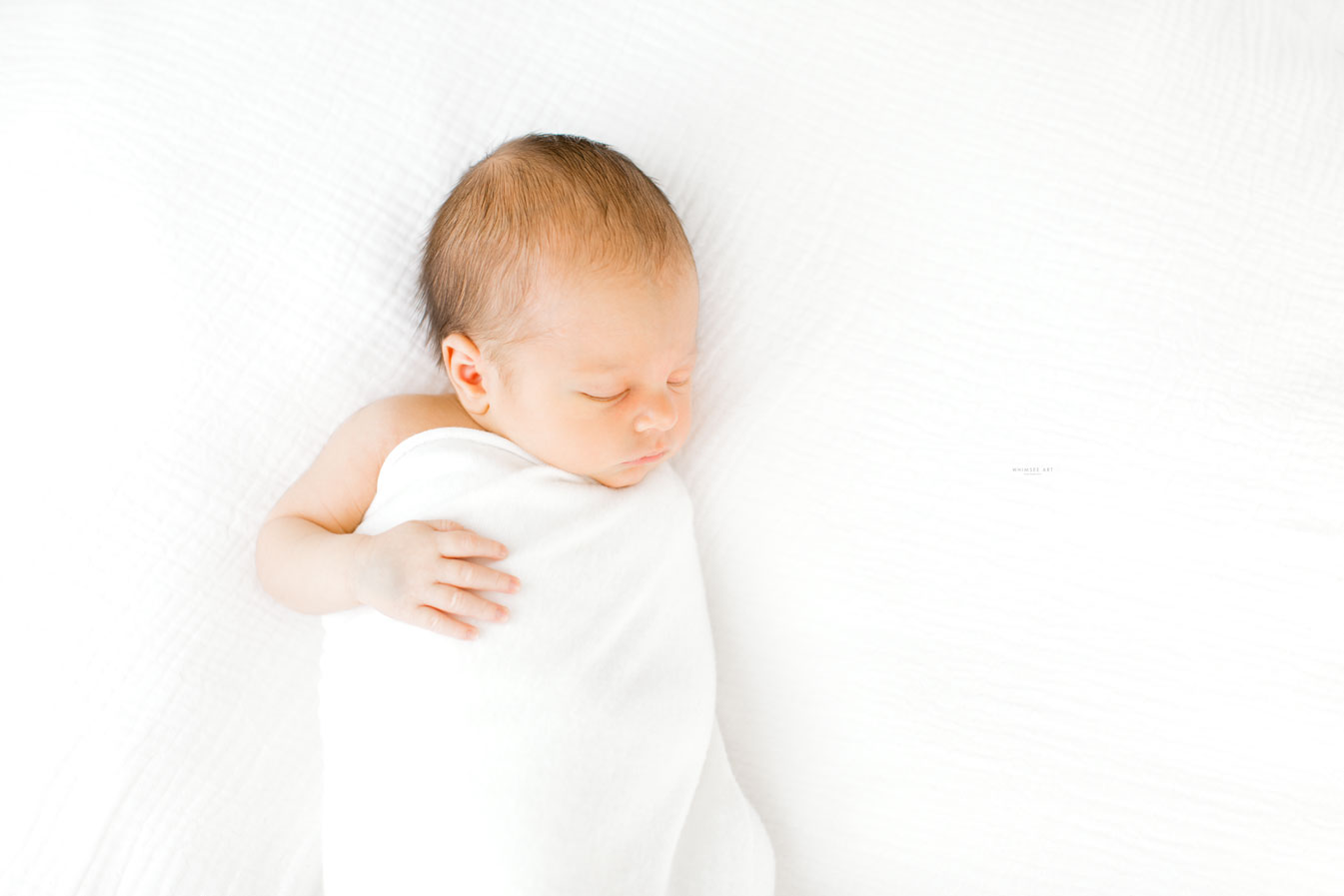 Welcoming Baby Liam and Family | Newborn Session | Whimsee Art Photography