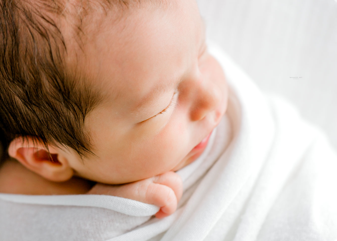 Baby Bodie | Roanoke Newborn Photographers | Whimsee Art Photography 