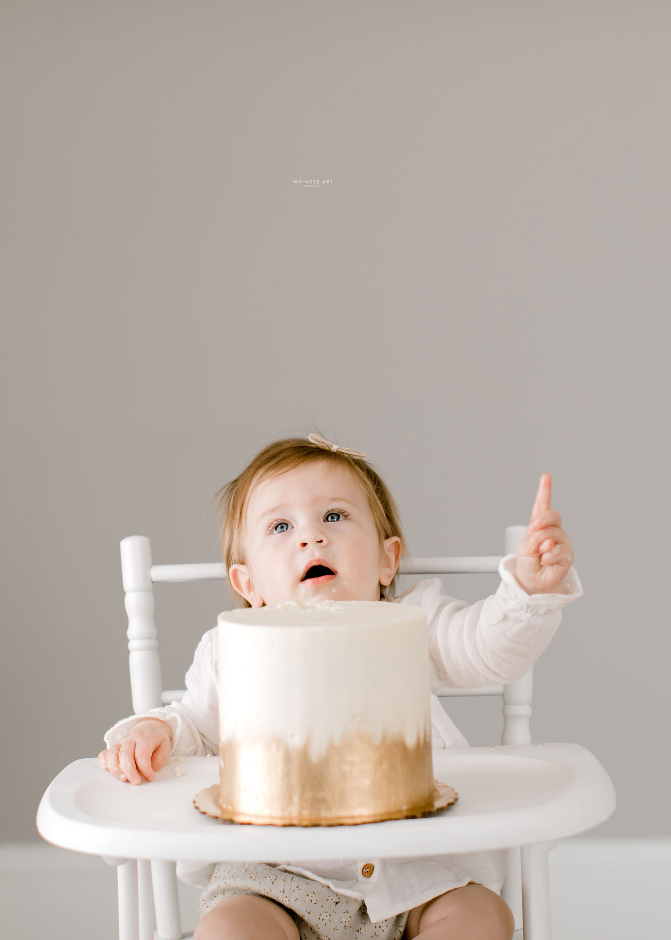 Cake Smash | One Year Photos | Whimsee Art Photography