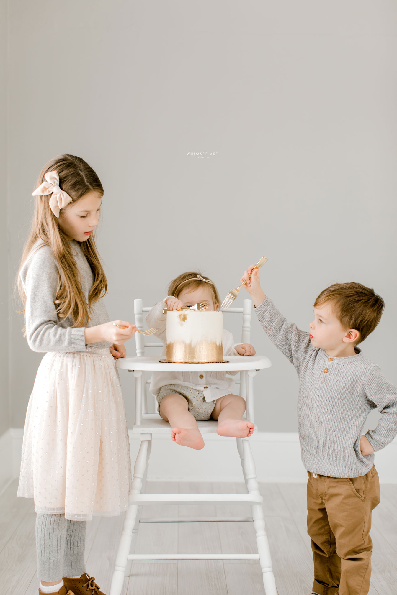 Cake Smash | One Year Photos | Whimsee Art Photography