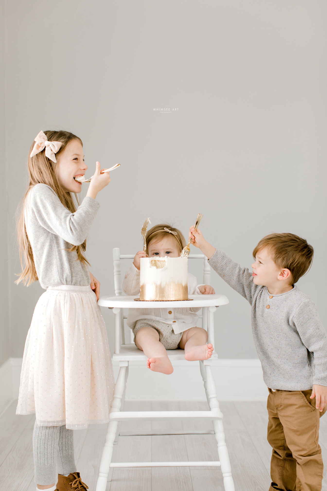 Cake Smash | One Year Photos | Whimsee Art Photography