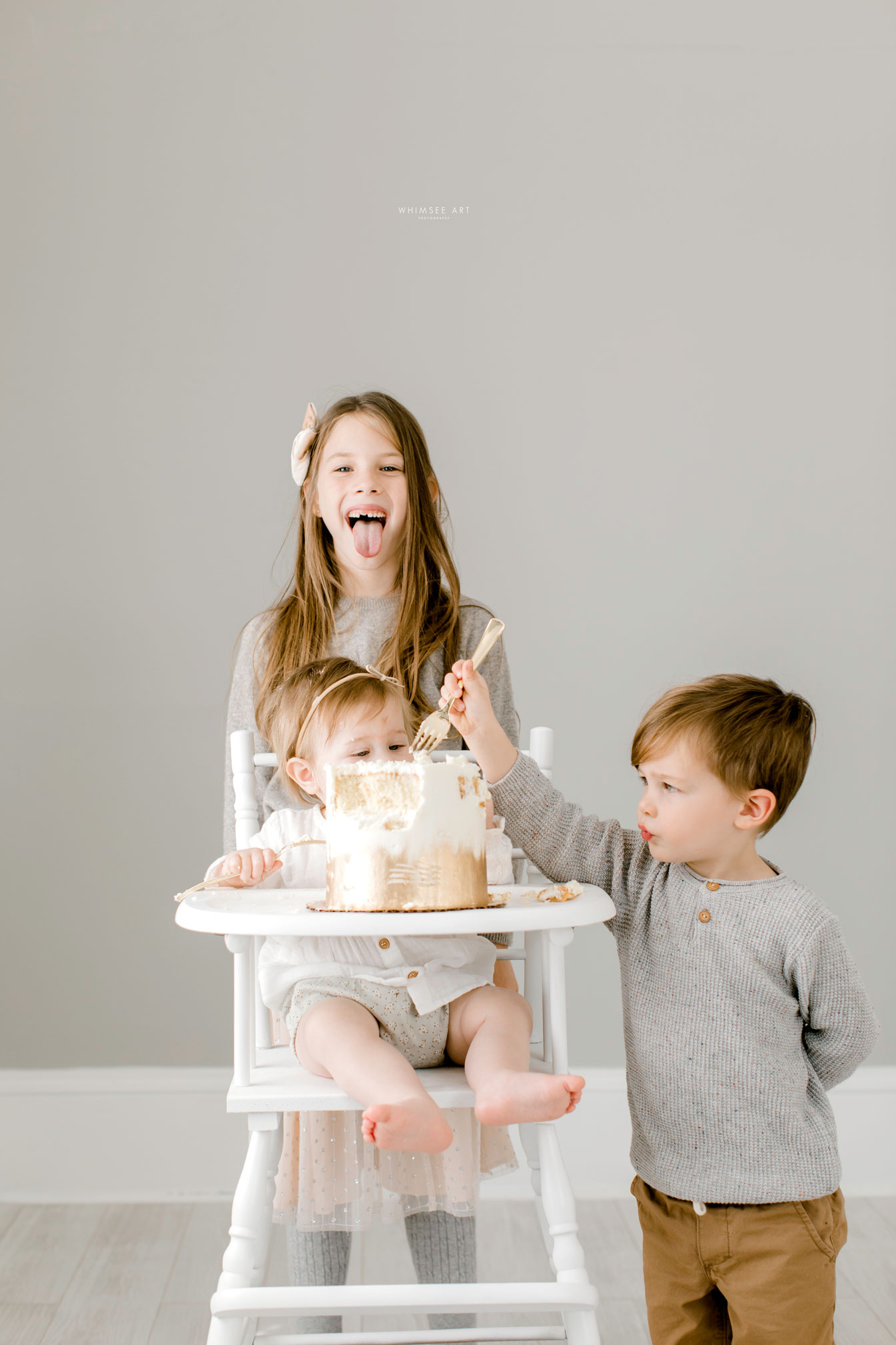 Cake Smash | One Year Photos | Whimsee Art Photography