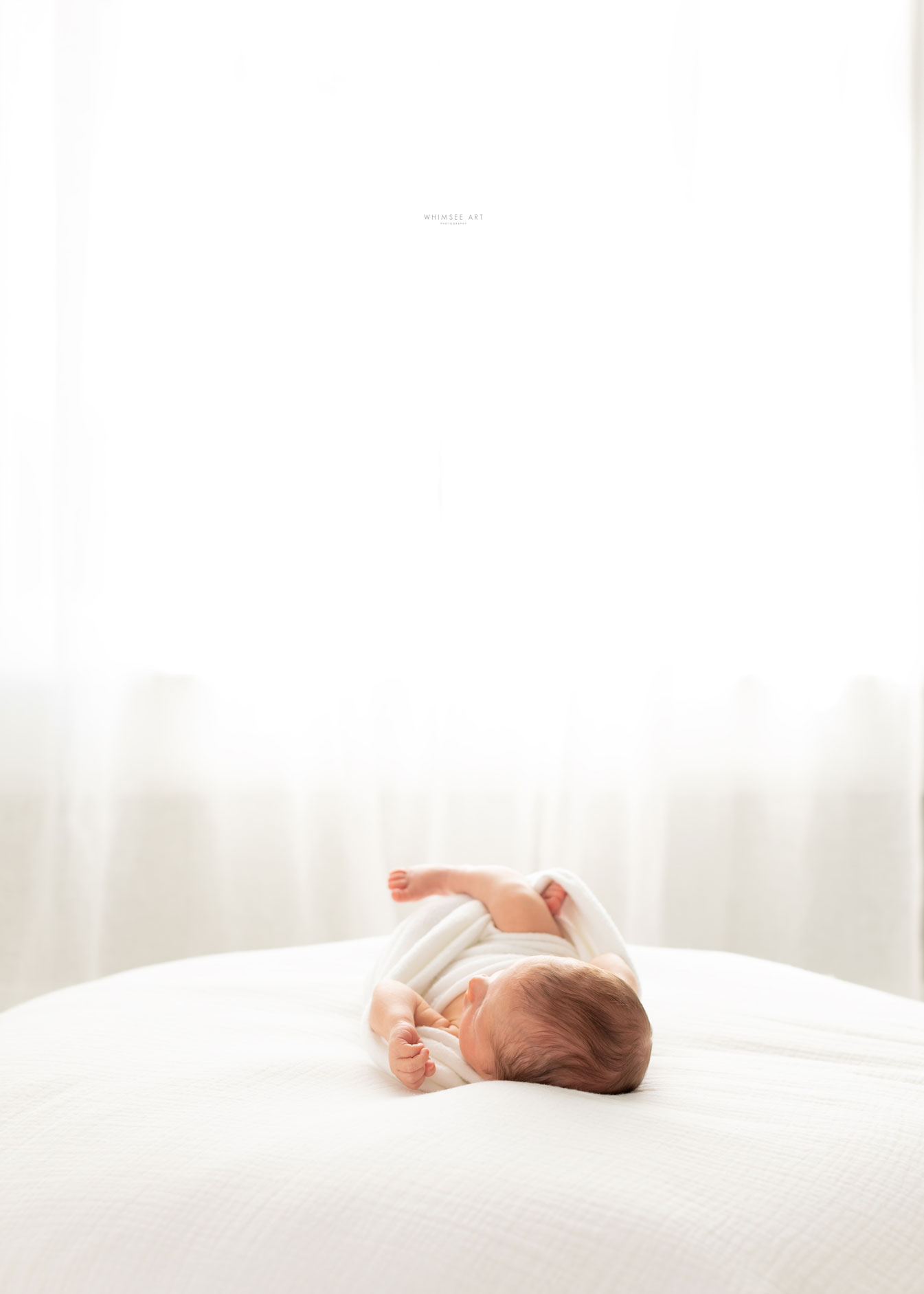 Baby Max | Roanoke Newborn Photographers | Whimsee Art Photography