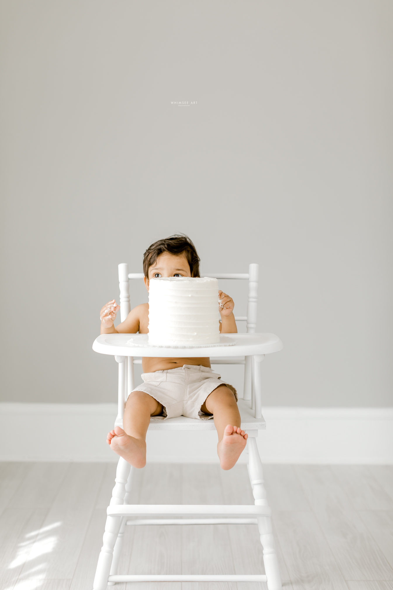 Happy Birthday Aarav | One Year Session | Whimsee Art Photographer