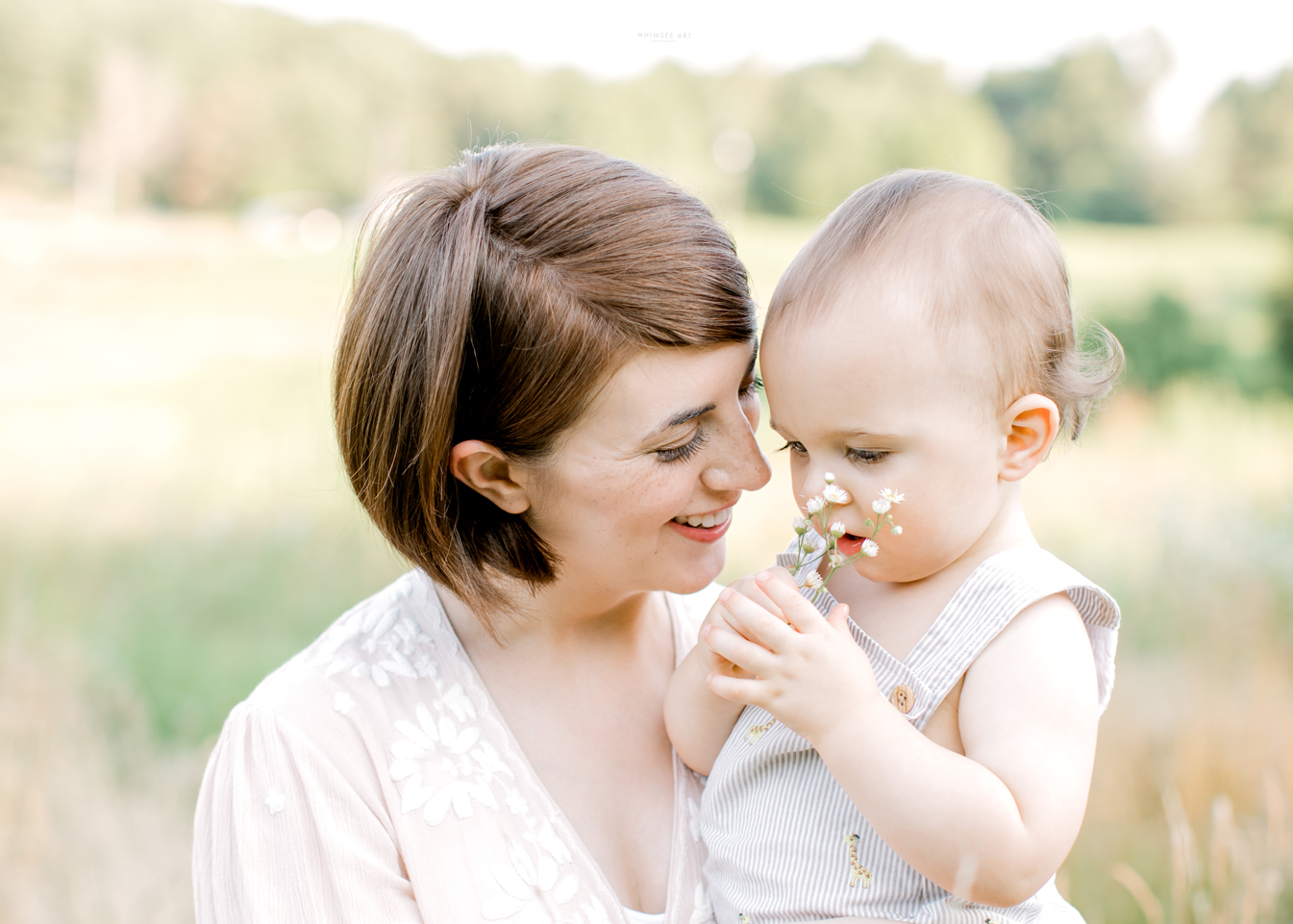 Liam Turns One! | Roanoke Family Photographer | Whimsee Art Photographer