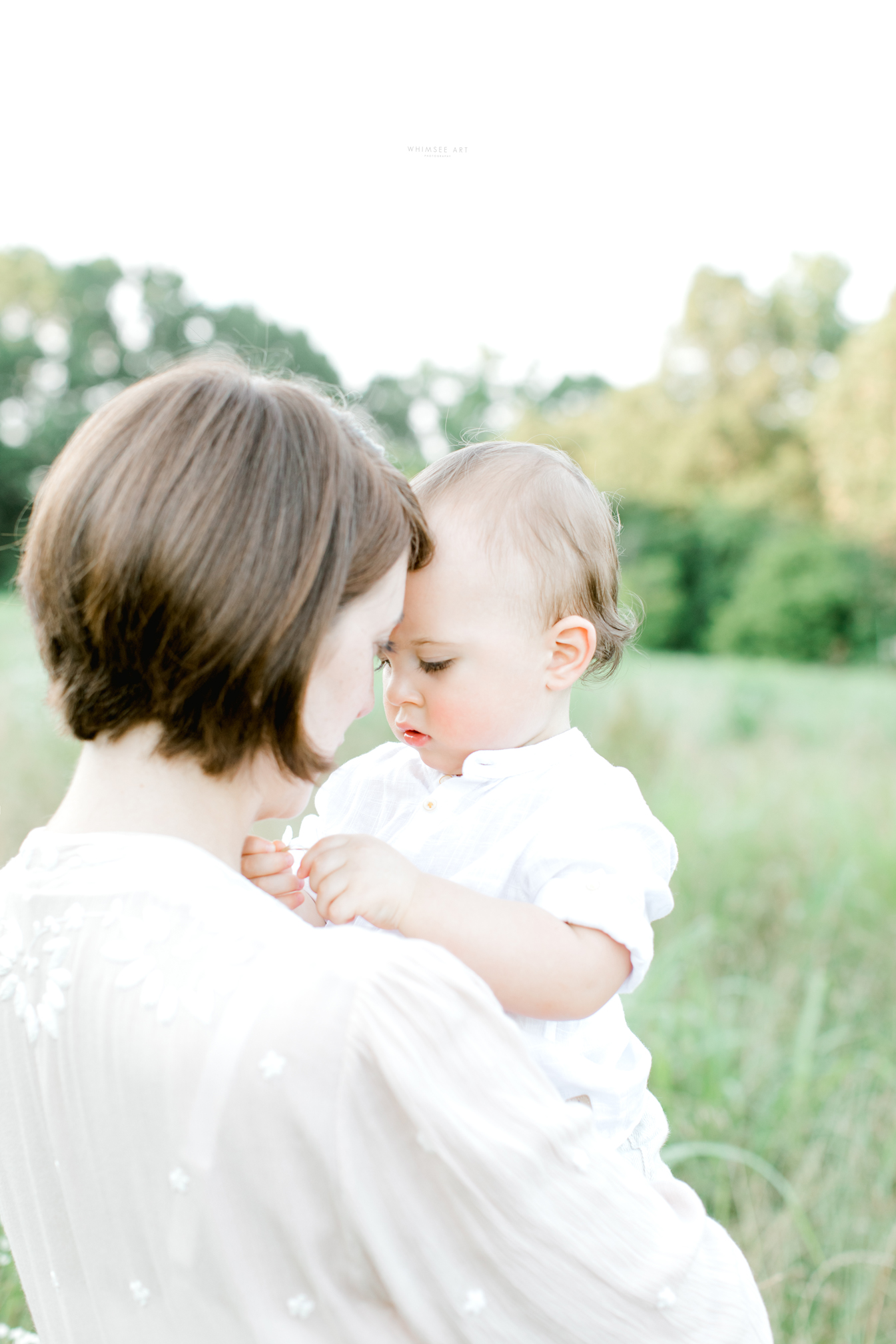 Liam Turns One! | Roanoke Family Photographer | Whimsee Art Photographer